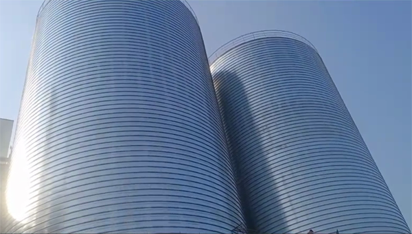 索县2座混凝土高架卷板仓